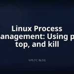 Linux Process Management: Using ps, top, and kill