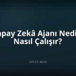 Yapay Zekâ Ajanı Nedir? Nasıl Çalışır?